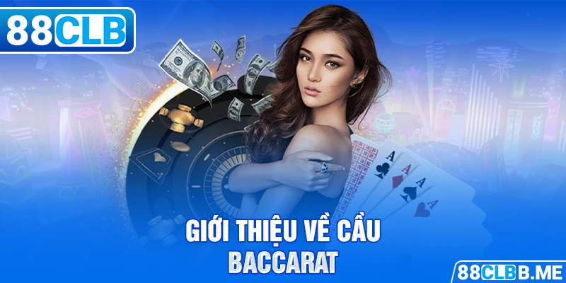 Giới thiệu về cầu Baccarat