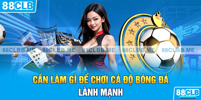 Cần làm gì để chơi cá độ bóng đá lành mạnh