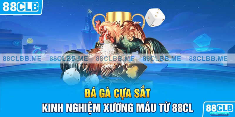 Đa dạng hình thức thi đấu để bet thủ lựa chọn