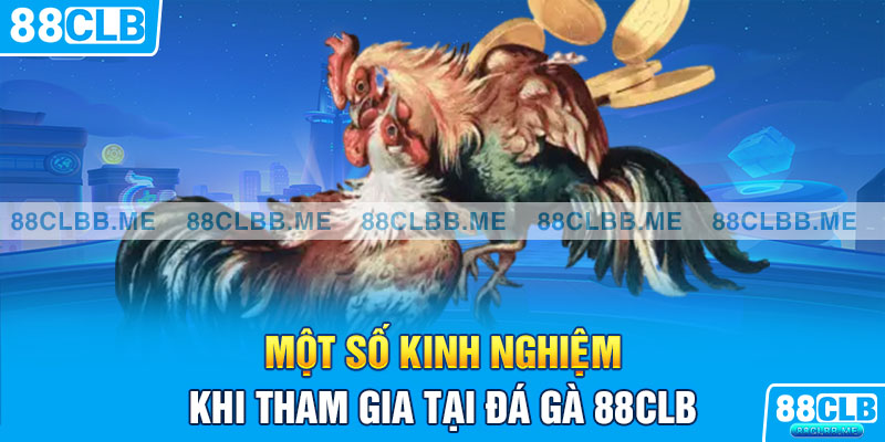 Một số kinh nghiệm khi tham gia tại đá gà 88CLB