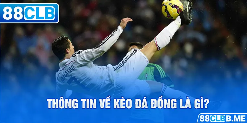 Thông tin về kèo đá đồng là gì?